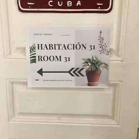 Vidamia Hostal
